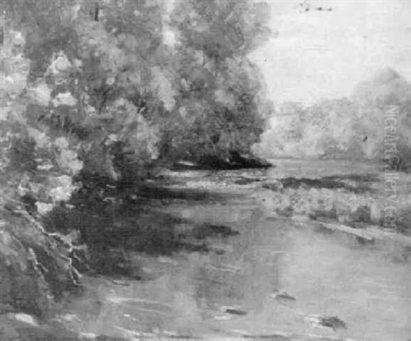 Wooded Stream - view 1