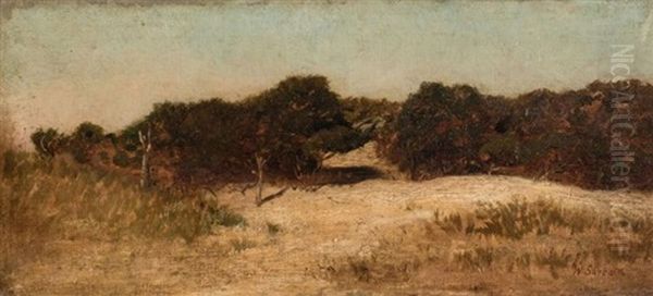 Red Beach Wareham (?) Buzzard's Bay Aug. 1882 - view 1