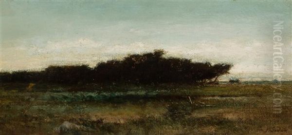 Landscape - view 1