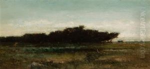 Landscape Landscape