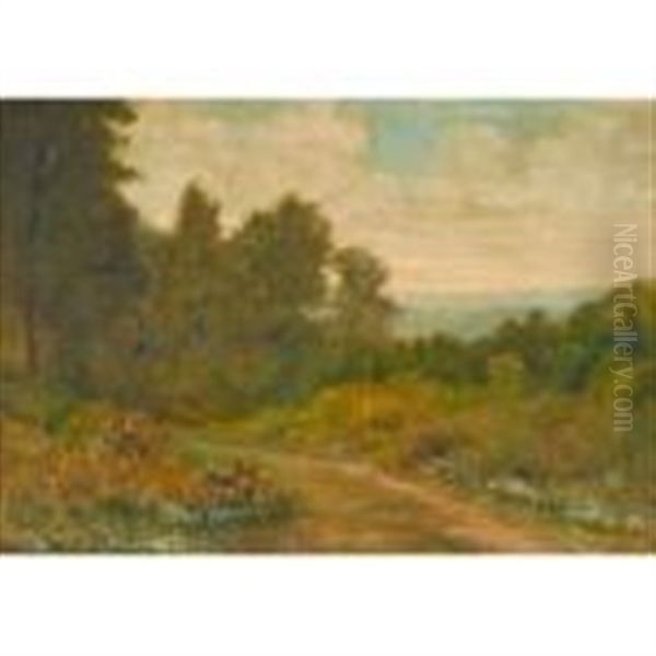 Landscape With Trail - view 1