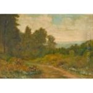 Landscape With Trail