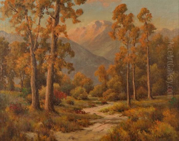 Path In A California Landscape - view 1