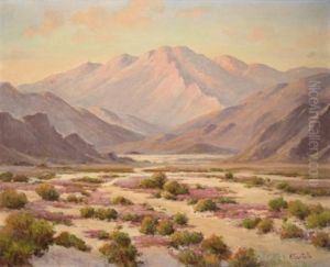 Flowering Desert At Sunset