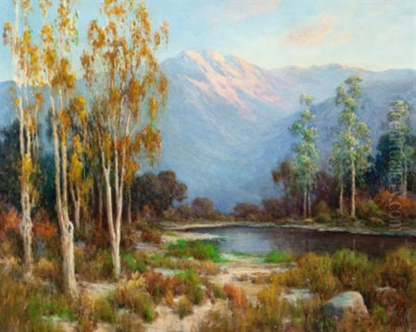 California Mountain Glow - view 1