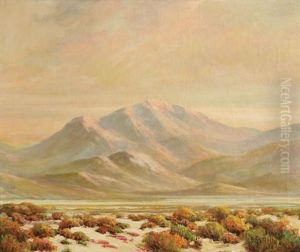 Desert Mountain Landscape