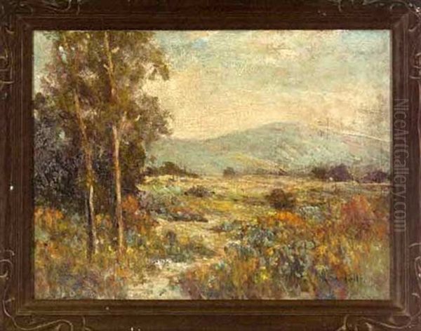 California Mountain Landscape - view 1