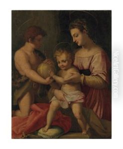 La Vierge Et L'enfant Avec Saint Jean-baptiste by Andrea Del Sarto