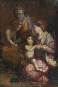 Madonna And Child With Saint Elizabeth And The Infant Saint John The Baptist by Andrea Del Sarto