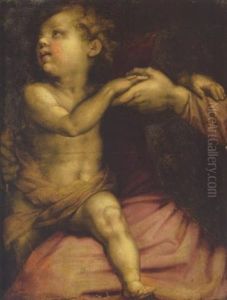 The Christ Child by Andrea Del Sarto