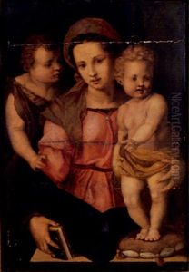 La Vierge, L'enfant Jesus Et Saint Jean-baptiste by Andrea Del Sarto