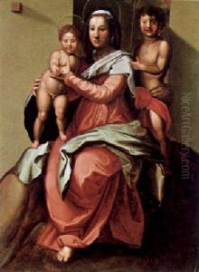Madonna Con Il Bambino E San Giovanni by Andrea Del Sarto