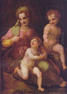 The Madonna And Child With The Infant Saint John by Andrea Del Sarto