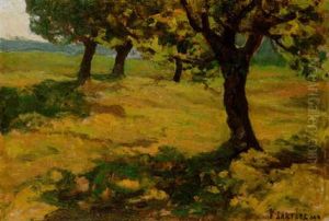 Paesaggio Con Olivi