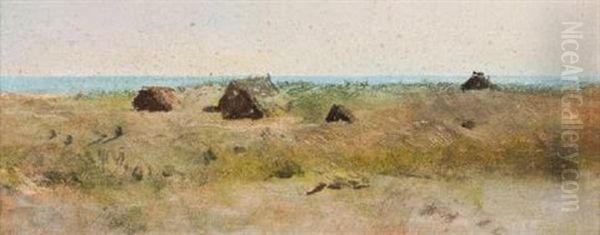 Dune - view 1