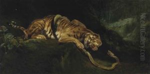 A Tiger Struggling With A Snake