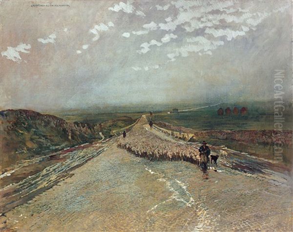 Ritorno Dal Pascolo - view 1
