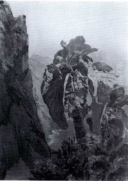 Bahja Del Brasile - view 1