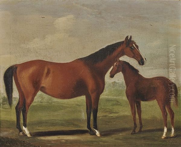 A Mare With Foal - view 1