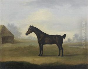 Nickel, In A Landscape
