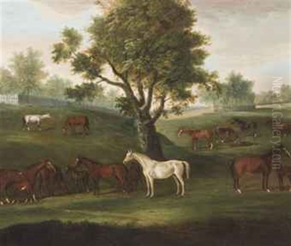 Brood Mares And Foals Grazing - view 1