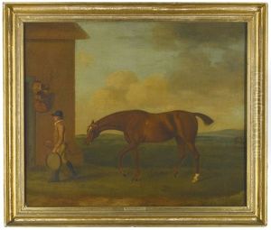 A Chestnut Racehorse Led By A Groom