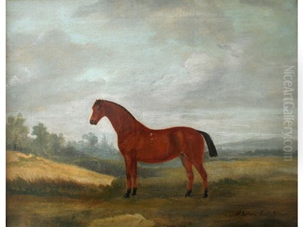 Bergamot, A Light Bay Horse In A Landscape - view 1