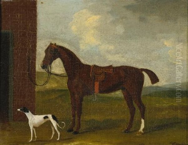 Horse And Hound - view 1