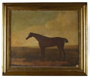 "pumpkin" Got By Matchless And Out Of A Suire Mare (sic) by Francis Sartorius