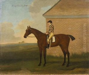Knight Errant By Goldfinder by Francis Sartorius