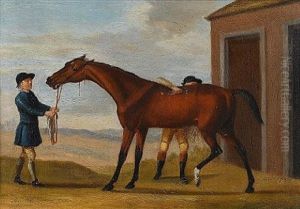 "bay Malton", Held By A Groom, Being Rubbed Down