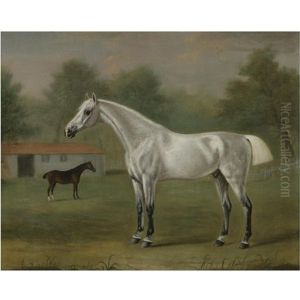 A Grey Horse