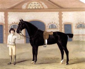A Dark Bay Hunter Held By A Groom In A Stable Yard