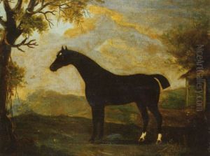 Portrait De Pur Sang by Francis Sartorius