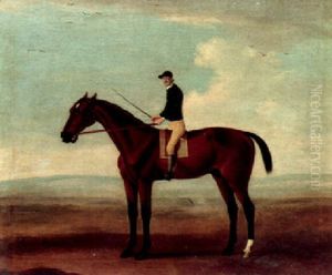 "bay Malton" With Jockey Up by Francis Sartorius