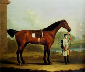 "tom", A Bay Horse Standing Saddled And Held By A Groom by Francis Sartorius