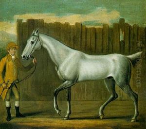 "jason", A Grey Stallion Held By A Groom