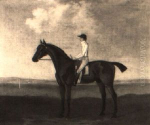 'ancaster', A Bay Racehorse With James Hawkins Up