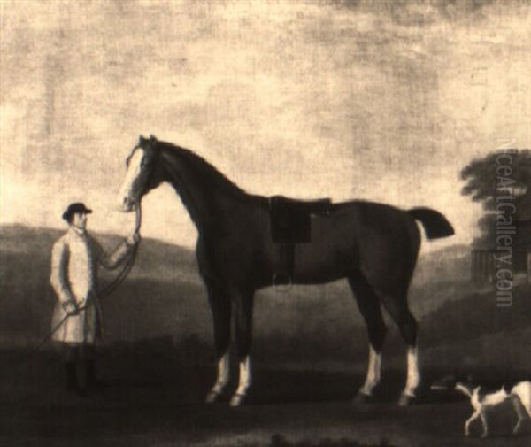 A Colt Out Of 'dorothy' By 'tortoise' - view 1