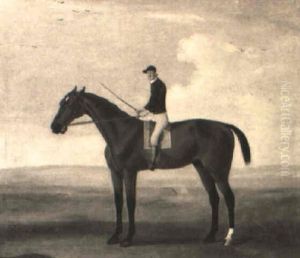 Bay Malton With Jockey Up by Francis Sartorius