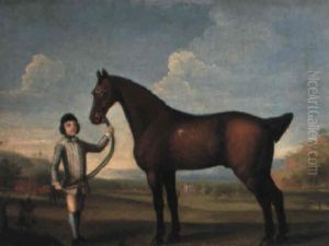 Turk, A Bay Horse, Held By A Groom, Marbury Hall, Cheshire