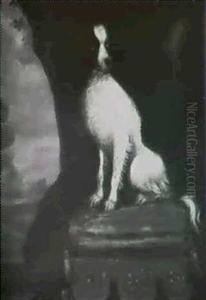 A Favourite Spaniel Sitting On A Cushion - view 1