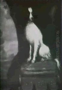 A Favourite Spaniel Sitting On A Cushion