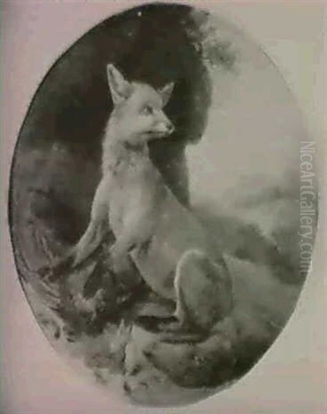 A Fox In Its Lair With A Dead Cockrell - view 1