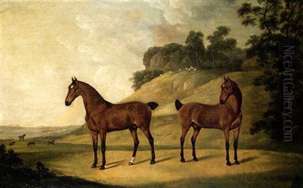 Two Bay Carriage Horses, The Property Of John Ashton Of Woolton Hall, Liverpool, Lancashire - view 1