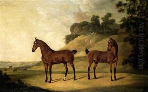Two Bay Carriage Horses, The Property Of John Ashton Of Woolton Hall, Liverpool, Lancashire by Francis Sartorius