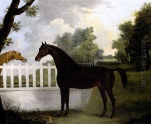 Lord Grosvenor's "racer" At Highflyer Hall, Ely
