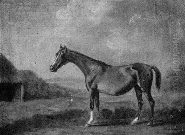 "lady", A Chestnut Brood Mare In A Landscape - view 1