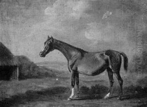 "lady", A Chestnut Brood Mare In A Landscape by Francis Sartorius
