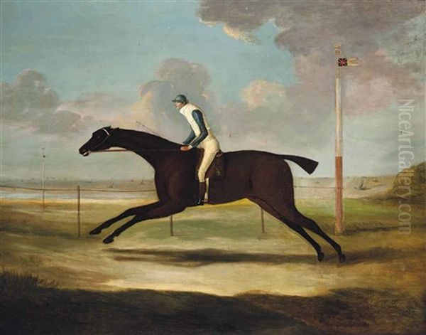 Scorpion, With Jockey Up, On Musselburgh Racecourse - view 1